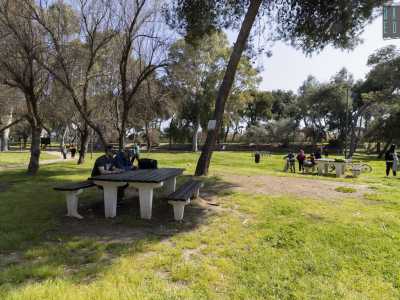 ...costeggiando i tavoli in legno dove i visitatori possono sedersi per leggere, chiacchierare o fare un pic-nic